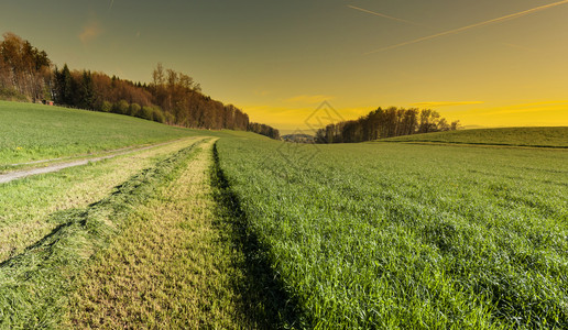 日出时瑞士牧场之间的泥土路瑞士地貌与草原和线图片