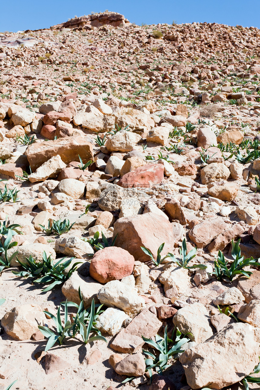 约旦佩特拉沙漠谷地的废石块图片