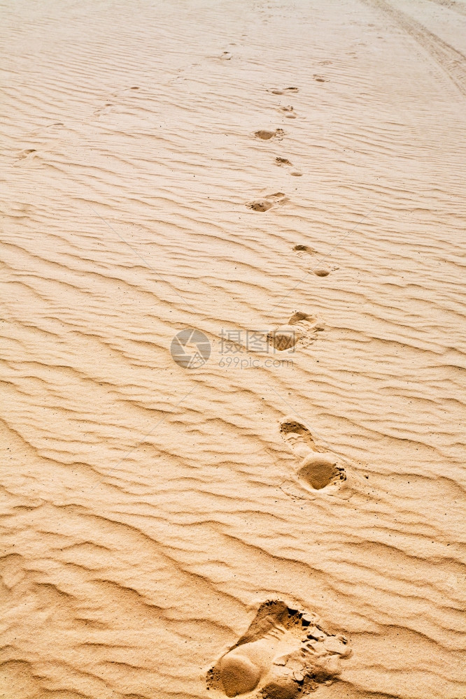 约旦WadiRum甜点沙丘上的脚印图片