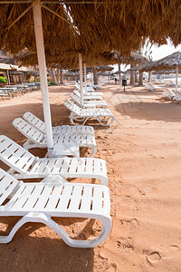 约旦阿卡巴珊瑚湾塑料沙滩床图片