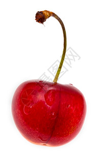 一个红甜樱桃特辑孤立在白色上背景图片