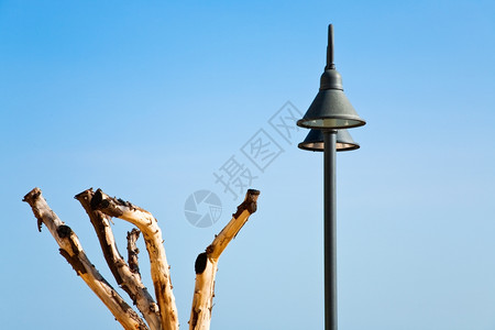 夏日的树干灯笼和蓝天背景图片