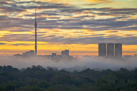 秋天城市日出时的清晨雾高清图片