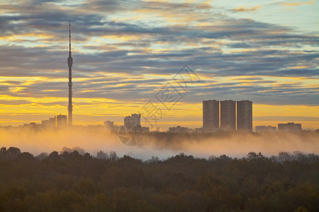 秋天城市日出时的清晨雾高清图片