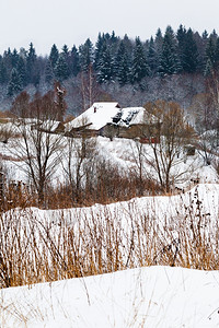 冬季一日雨雪覆盖了森林边缘的乡村房屋图片