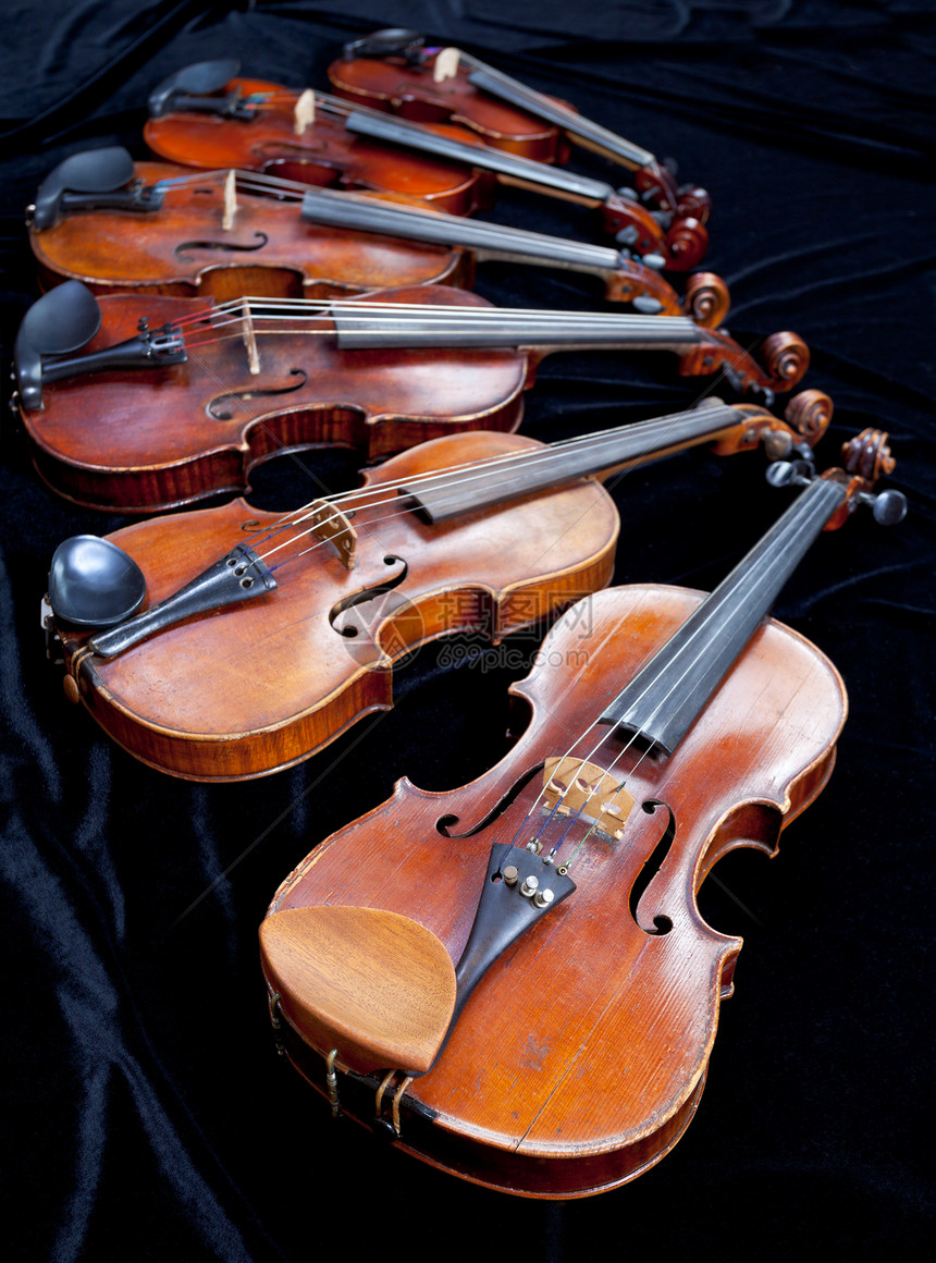 黑天鹅绒上不同大小的提琴家族紧图片