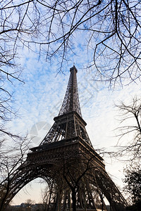 春晚在巴黎的艾菲尔塔和树枝背景图片