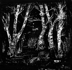 儿童绘画白林中的夜间图片