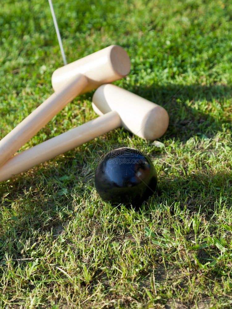 夏日在绿草坪上玩花椰子游戏时黑球和大梅图片