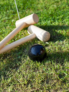 夏日在绿草坪上玩花椰子游戏时黑球和大梅高清图片