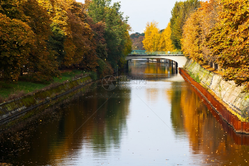秋天在柏林Landwehrkanal岛落叶和断图片