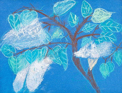 树枝素描素材儿童绘画春天有白花的树枝背景