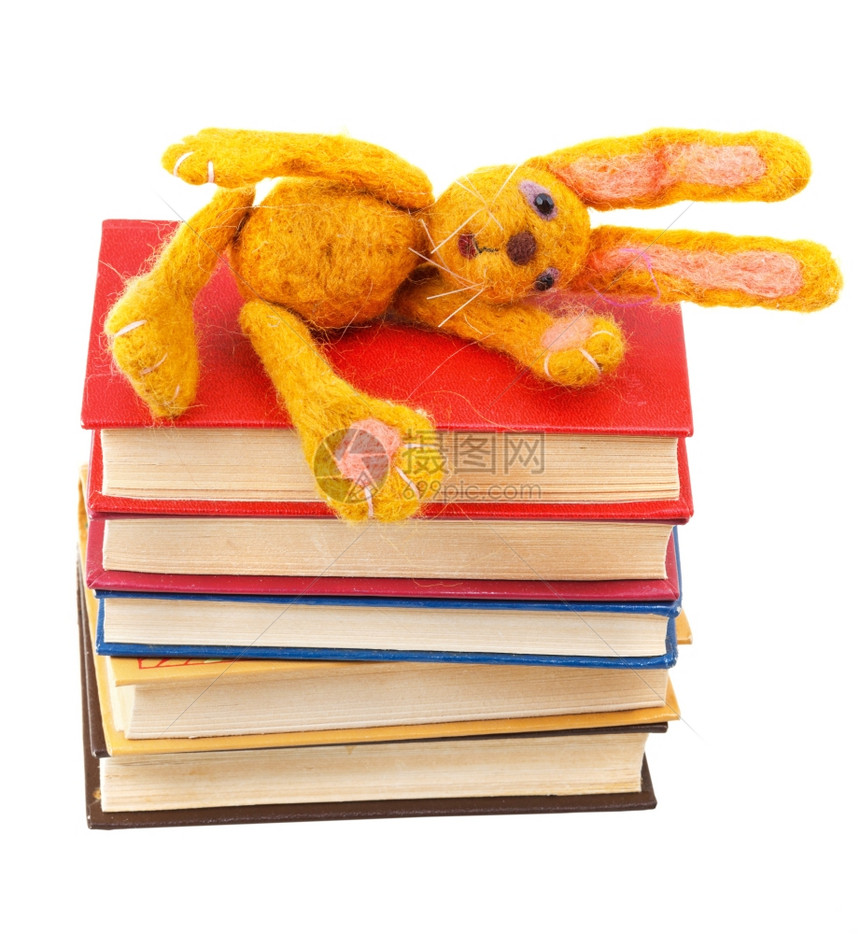 感觉柔软的玩具兔子躺在堆叠的书上孤立在白色背景的书本上图片