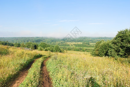 俄罗斯夏日绿色草原的乡村公路图片