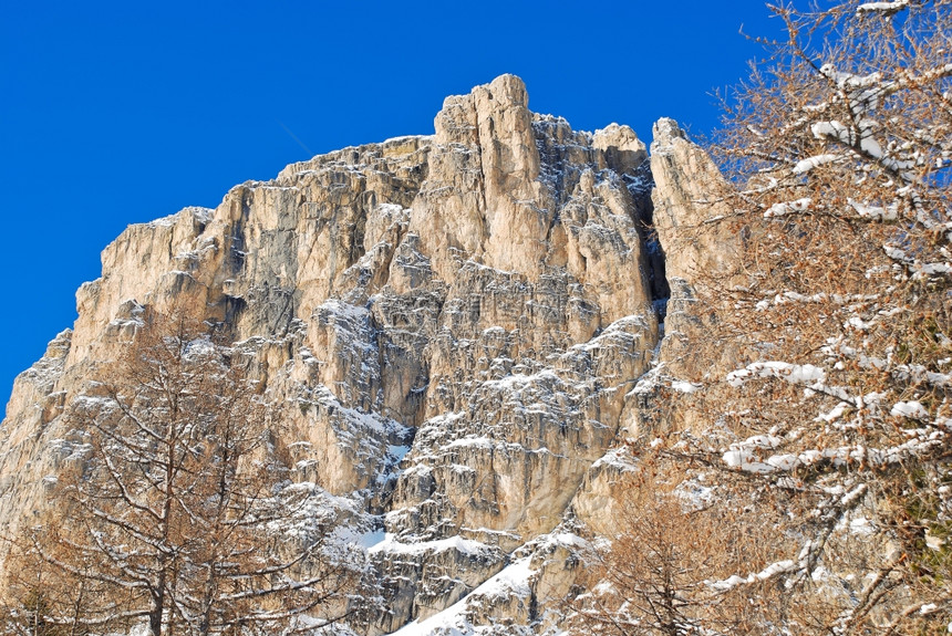 意大利ValGardana的多洛米山裸树和岩石图片