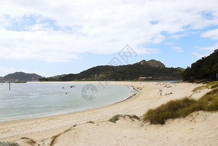 Cies群岛上的沙滩海螺西班牙大洋加利亚公园图片
