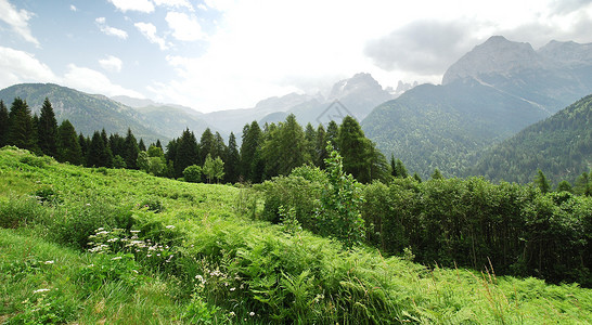 意大利多洛米山脉的绿草地图片