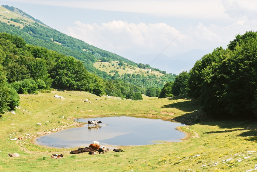 意大利阿尔卑斯山Garda湖地区MonteBaldo山夏季的农村景象图片