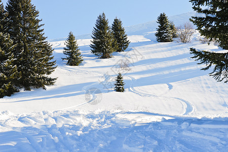 法国摩尔津阿沃里亚兹的太阳港地区山上雪林滑图片