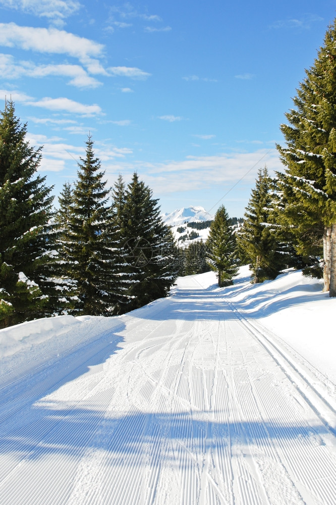 法国摩尔津阿沃里亚兹的太阳港地区山雪林滑场图片