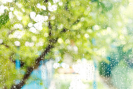 夏季雨后有滴的湿家庭窗口图片