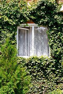 在阳光明媚的日子里在农村住宅的开放窗口周围图片