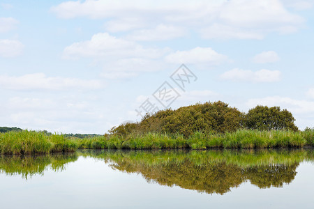 法国布赖尔地区自然公园布赖尔沼泽的夏日风景图片