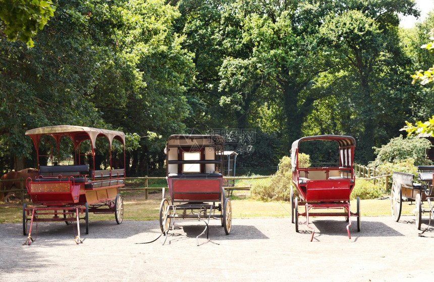 法国布赖尔地区自然公园的老旧马车图片