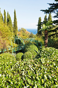 克里米亚和黑海南岸的Livadia花园图片