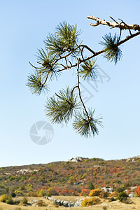 克里米亚AiPetri山高原的克里米亚图片