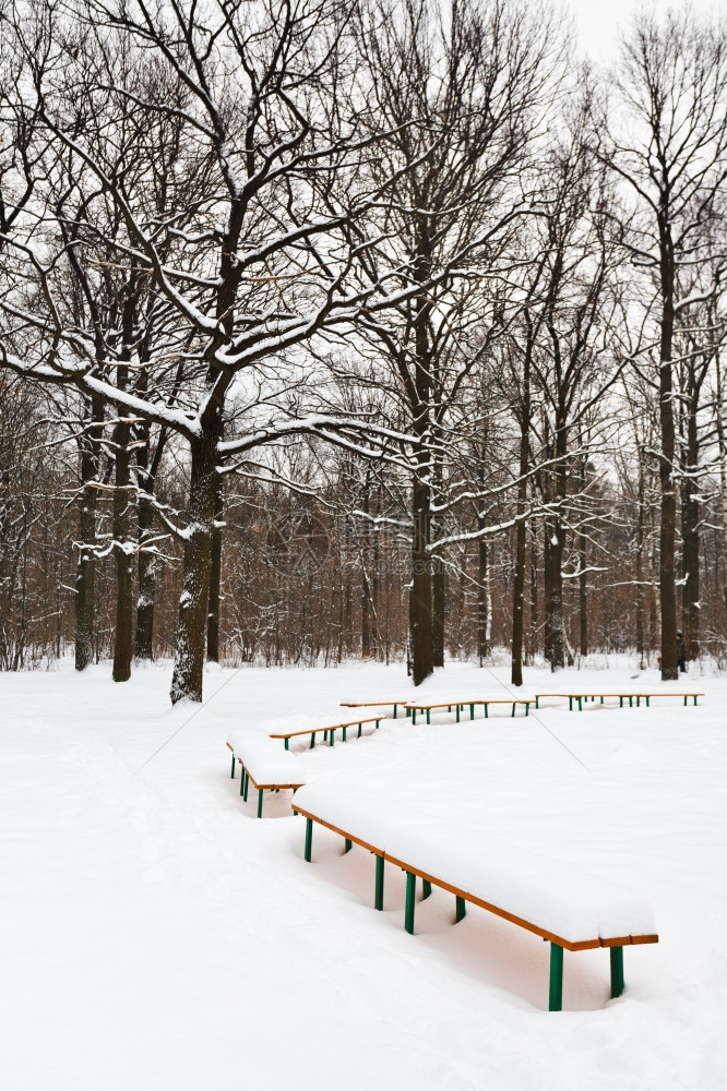 冬季城市公园格莱德山上雪盖长凳图片
