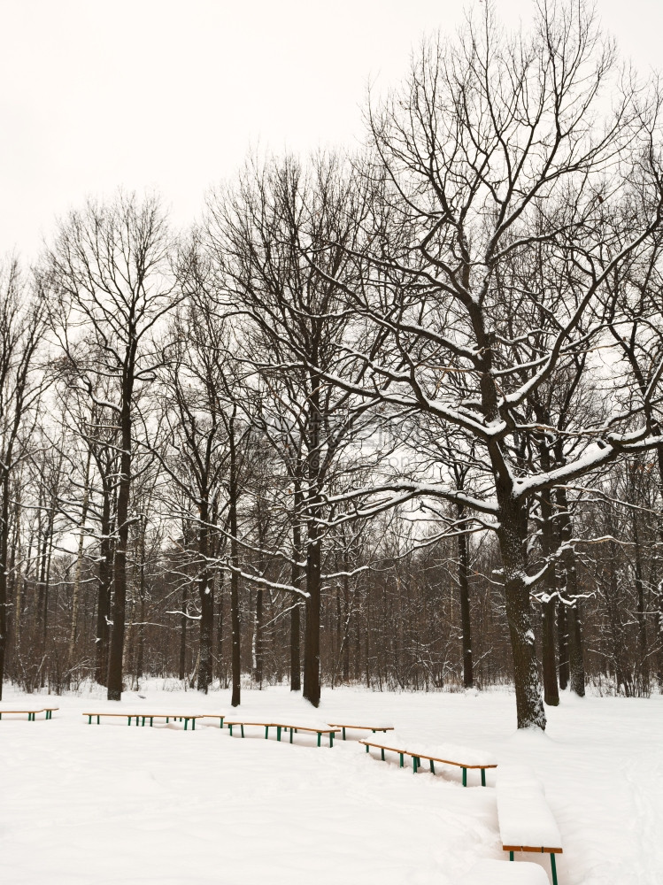 冬季城市公园格莱德山上雪的长凳图片