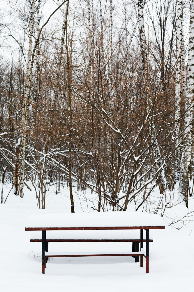冬季城市公园娱乐场的雪花桌图片