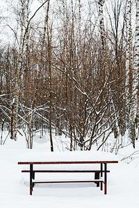 冬季城市公园娱乐场的雪花桌背景图片