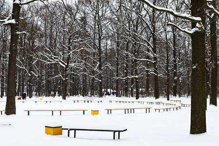 冬季城市公园的积雪娱乐区图片