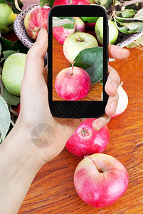 拍摄食物概念旅游者拍摄智能手机木制桌上的新鲜绿叶和红苹果图片