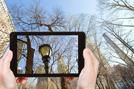 旅游概念旅游者用智能手机拍摄秋季在纽约的房屋和裸露树木图片