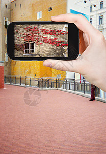 旅行概念游客用奥地利秋季智能手机拍摄维也纳墙上红色长春藤叶的照片图片