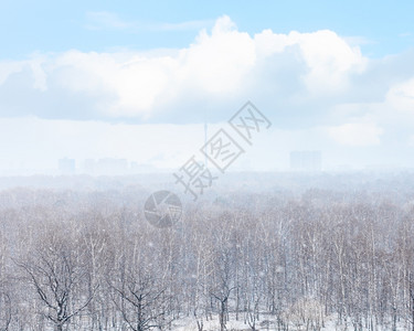 春日在城市和树林上下雪暴图片