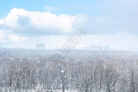 春日在城市和森林上空下雪暴图片