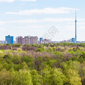 春日中城市和绿林的景色图片
