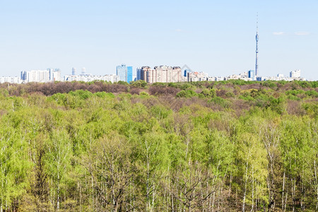 奥斯坦金诺在阳光明媚的春天城市和绿林背景
