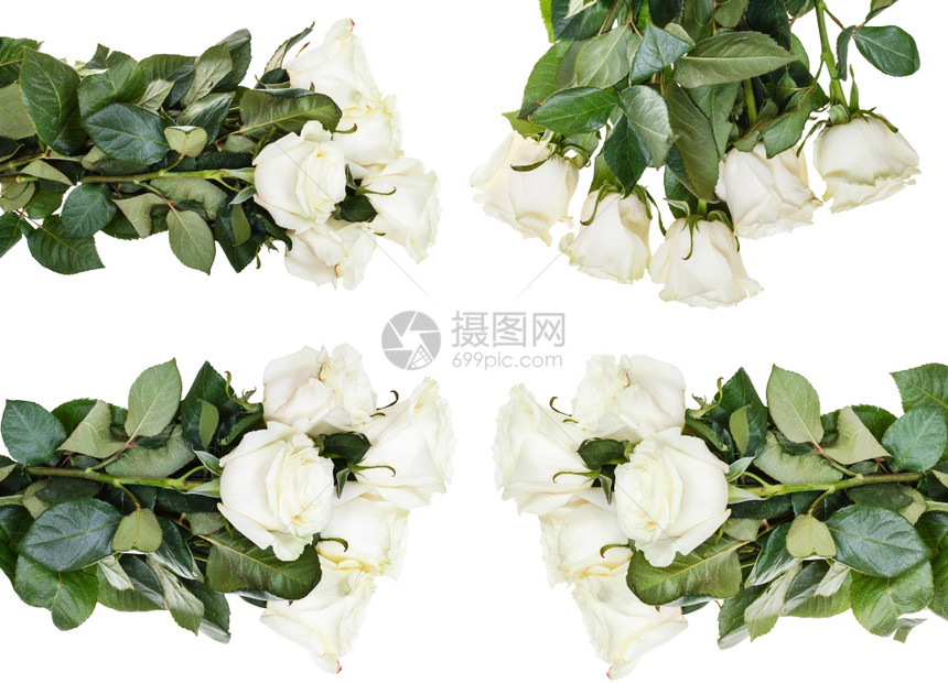 白色背景上孤立的白玫瑰花束集图片