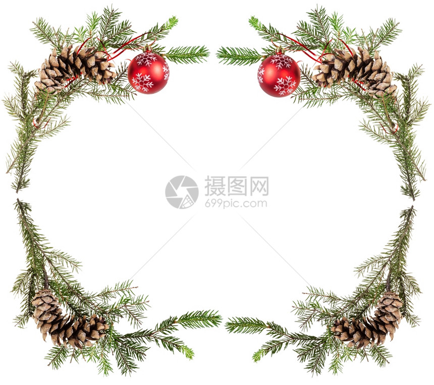 圣诞节贺卡框白底带锥和红球的树枝图片