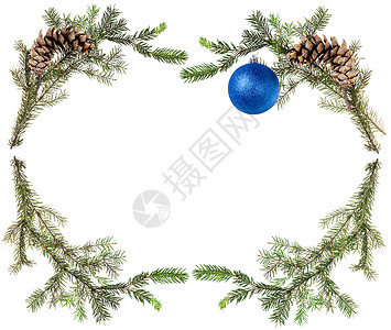 圣诞节贺卡框白底带锥形和蓝色球的fir树枝背景图片