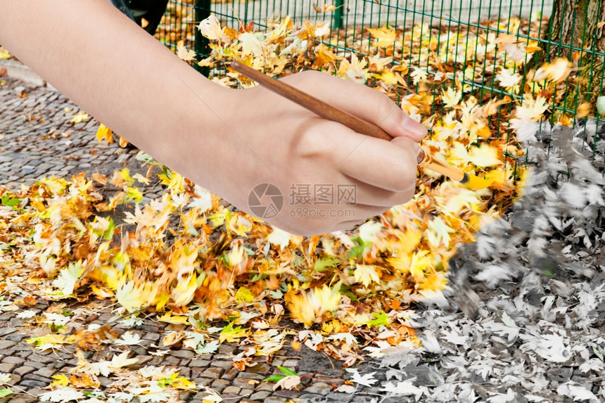 自然概念秋天手与油漆刷一起在街上落黄叶图片