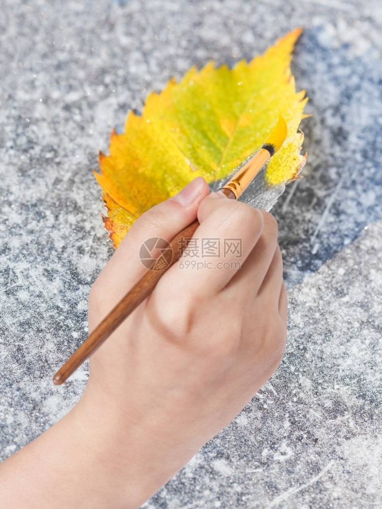 自然概念秋天与油漆刷手在冰冻的行人道上黄色叶落图片