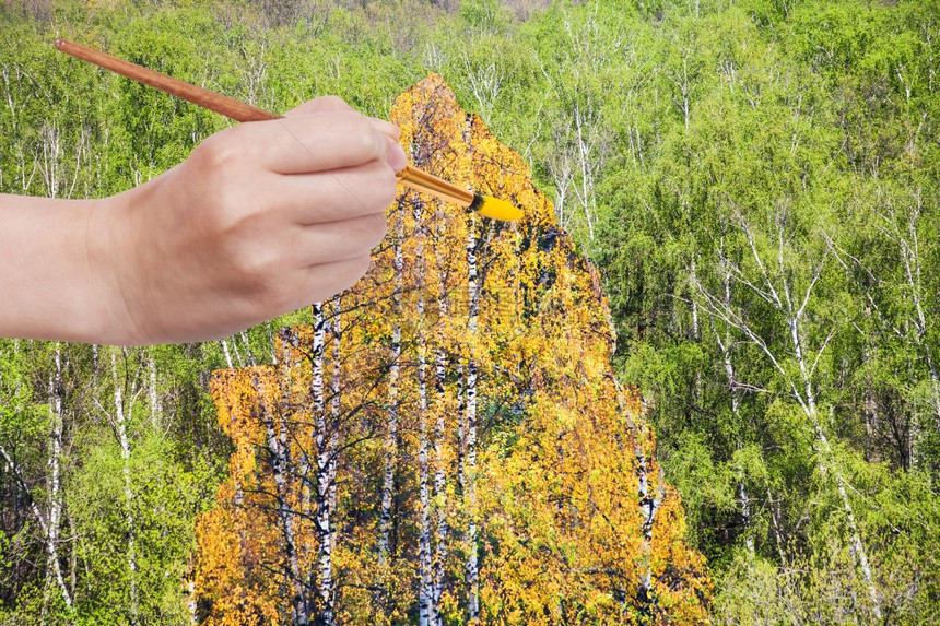 自然概念季节和天气变化季节和天气变化手与油漆刷画在绿色夏日林中黄秋野图片