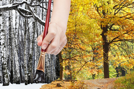 自然概念季节和天气变化手用油漆刷在冬季森林而不是黄色秋林中裸着黑树图片