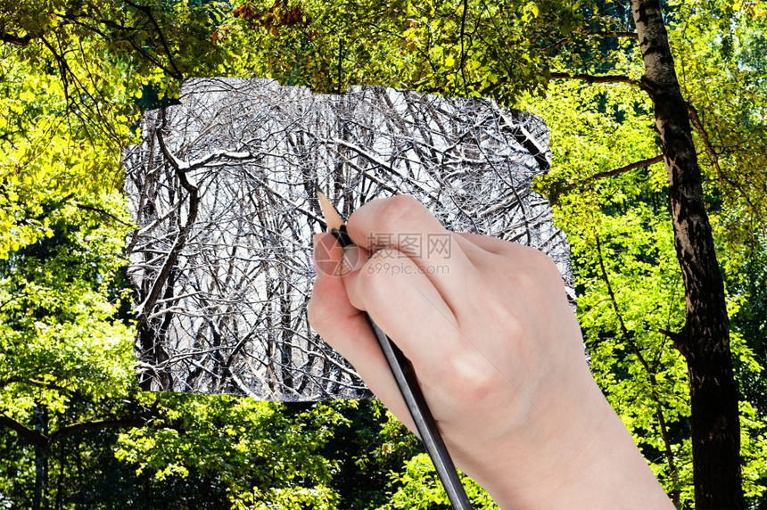 自然概念季节和天气变化用铅笔手在冬季森林而不是绿色夏季森林中抽光树干图片